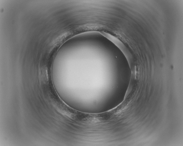 X0000070400254200606161353