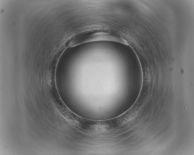 X0000070400255200606161353