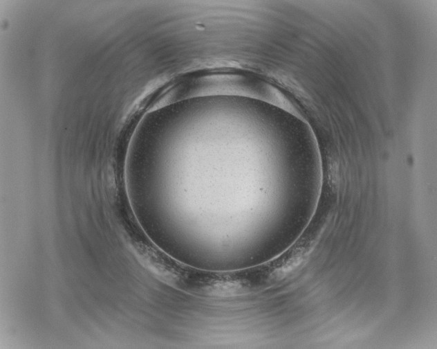 X0000070400256200606161353