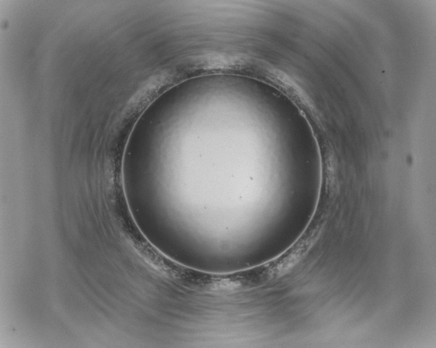 X0000070400257200606161353