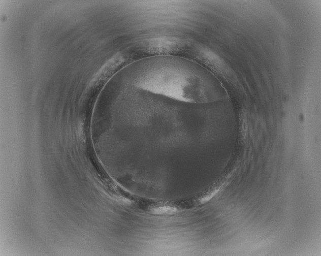 X0000070400258200606161353