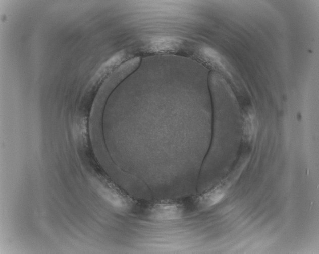 X0000070400260200606161353