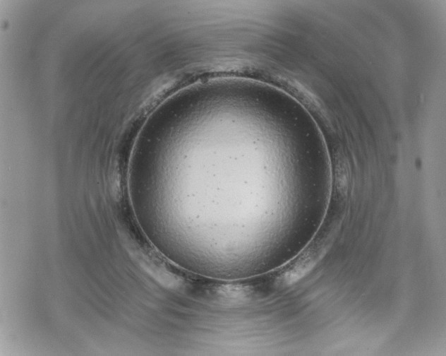 X0000070400261200606161353