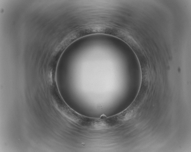 X0000070400262200606161353