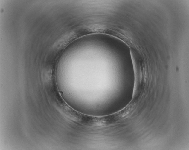 X0000070400263200606161353