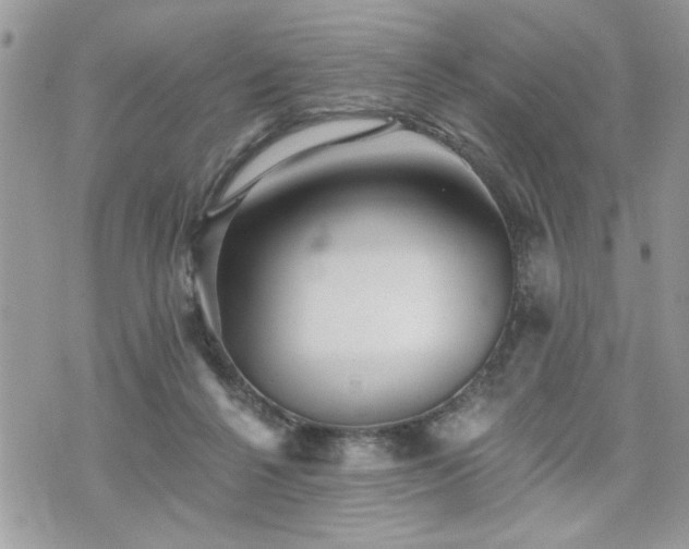 X0000070400264200606161353