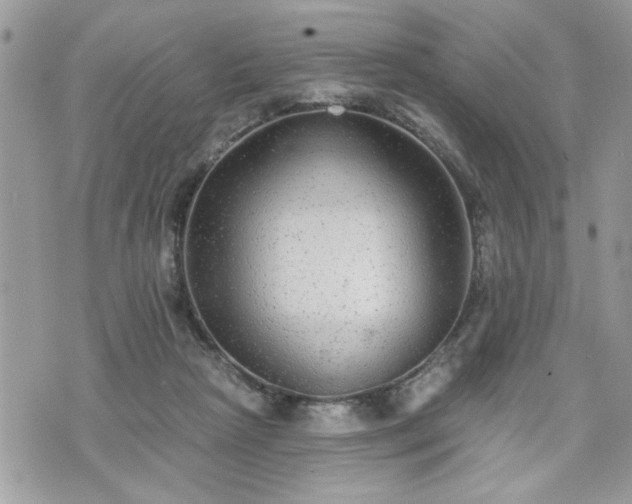 X0000070400265200606161353