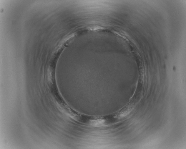 X0000070400266200606161353