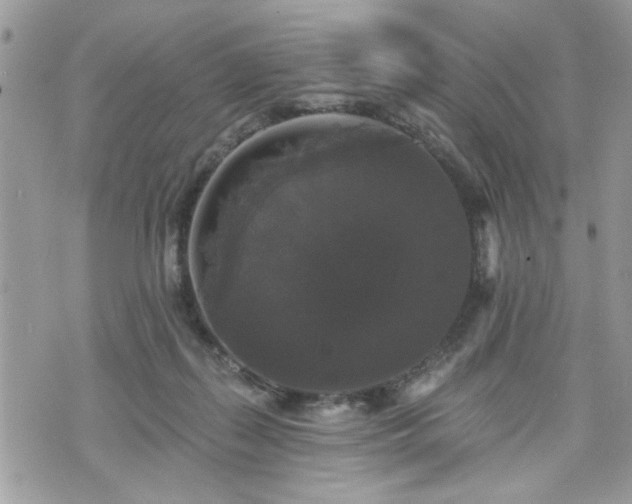 X0000070400267200606161353