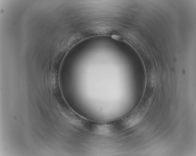 X0000070400268200606161353