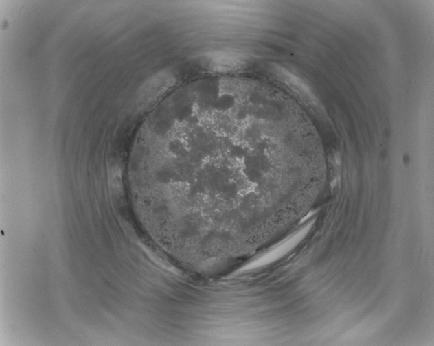 X0000070400269200606161353