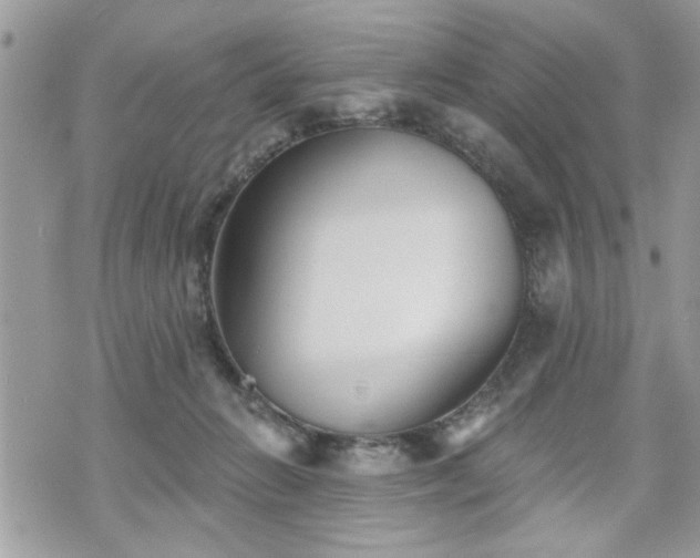 X0000070400270200606161353