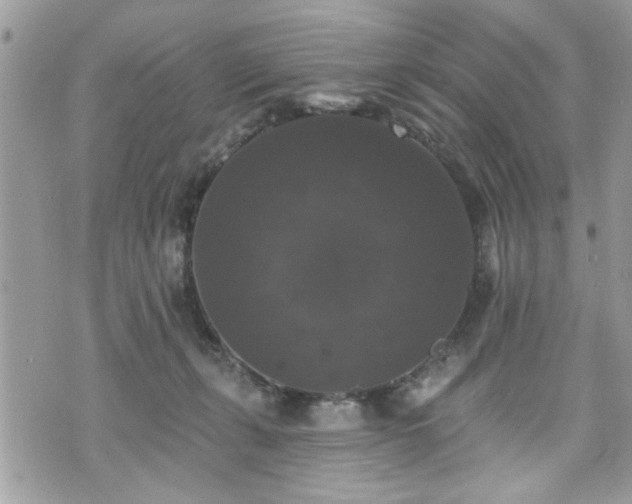 X0000070400271200606161353