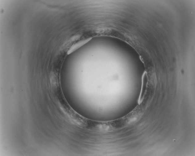 X0000070400272200606161353