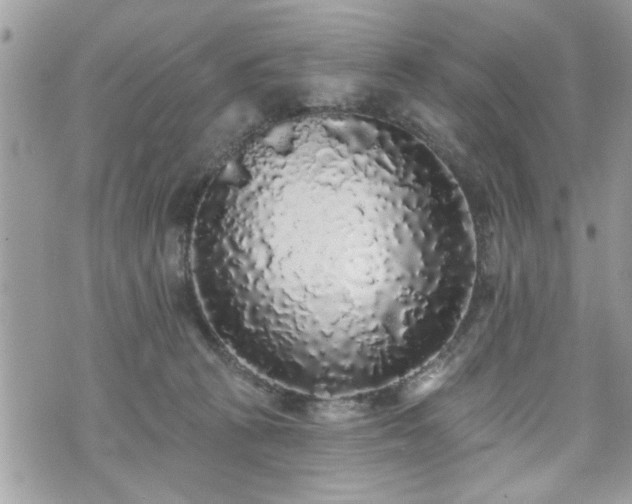 X0000070400273200606161353