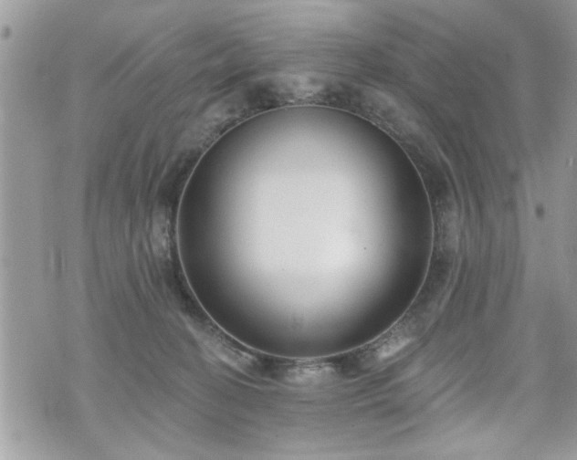 X0000070400274200606161353