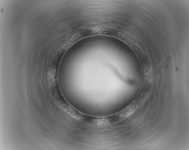 X0000070400275200606161353