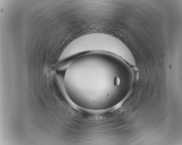 X0000070400276200606161353