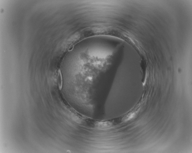 X0000070400277200606161353