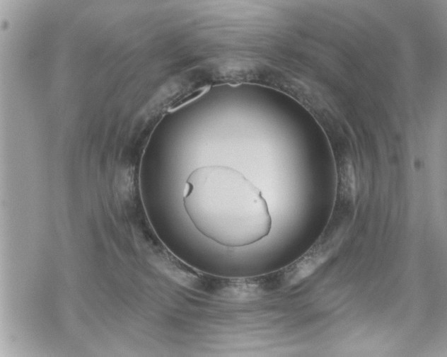 X0000070400278200606161353