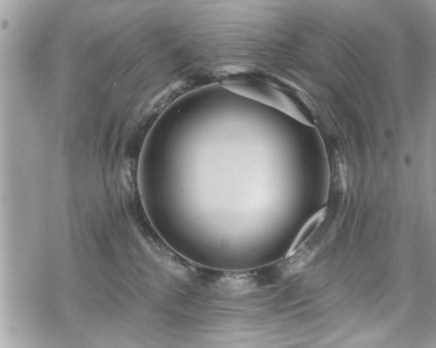 X0000070400280200606161353