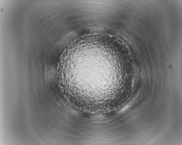 X0000070400281200606161353