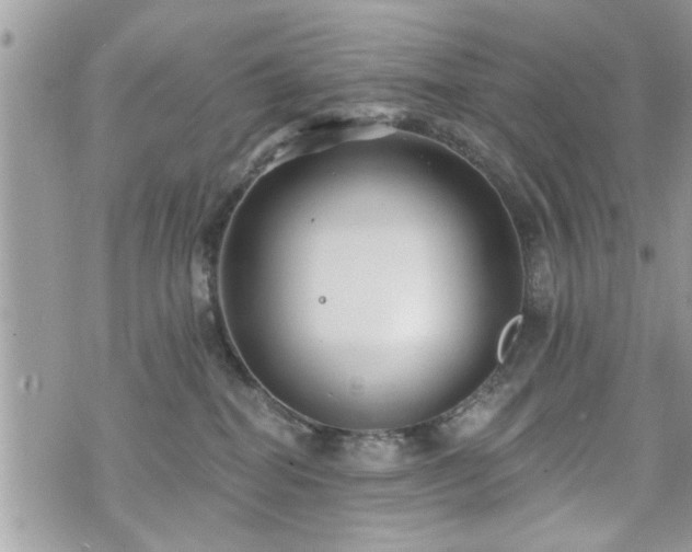 X0000070400282200606161353