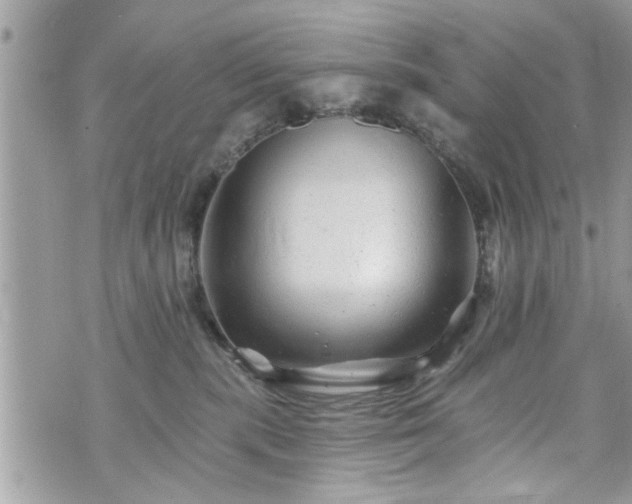 X0000070400283200606161353