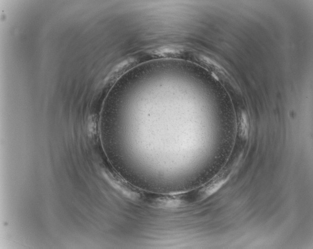 X0000070400284200606161353