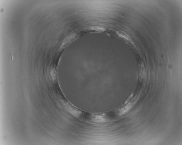 X0000070400285200606161353