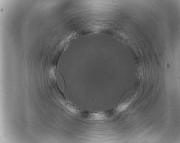 X0000070400286200606161353