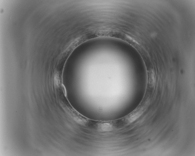 X0000070400287200606161353