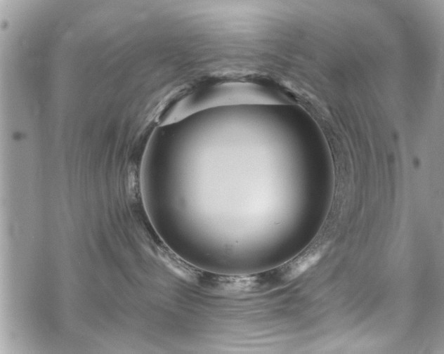 X0000070400288200606161353