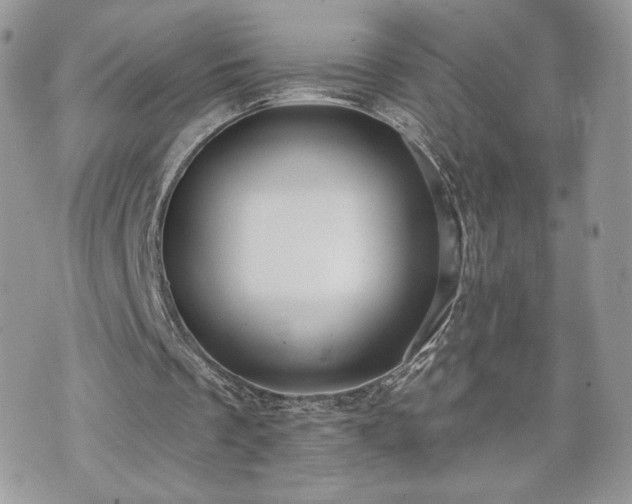 X0000070400289200606161352