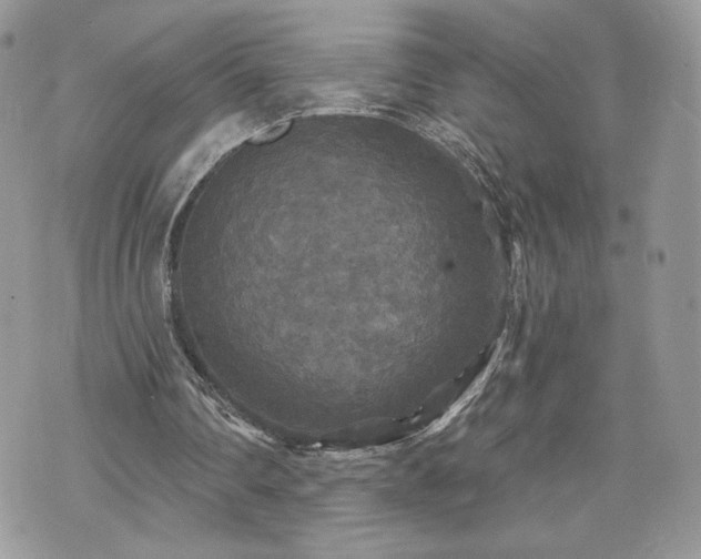 X0000070400290200606161352