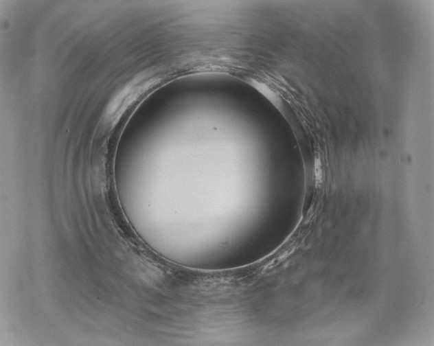 X0000070400291200606161352