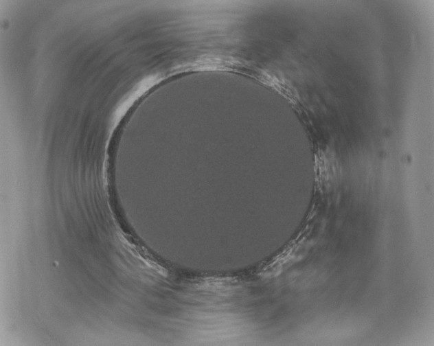 X0000070400292200606161352