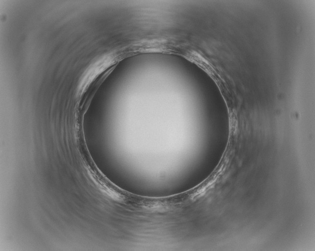 X0000070400293200606161352