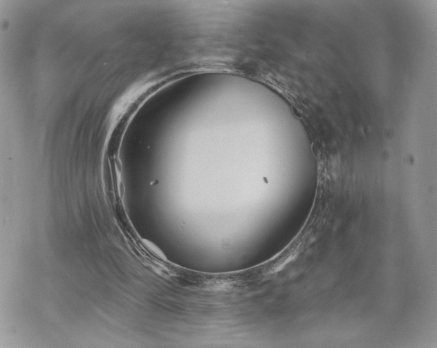 X0000070400294200606161352