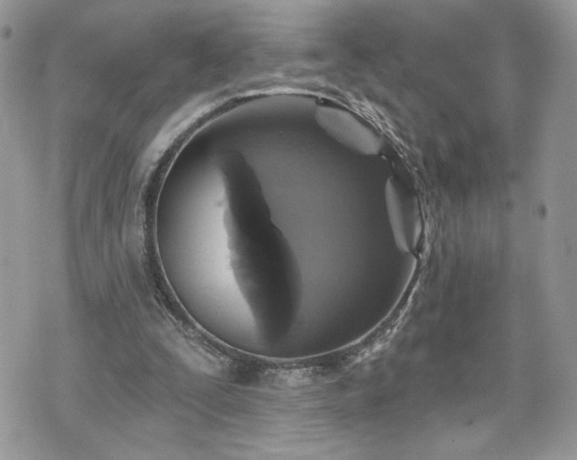 X0000070400295200606161352