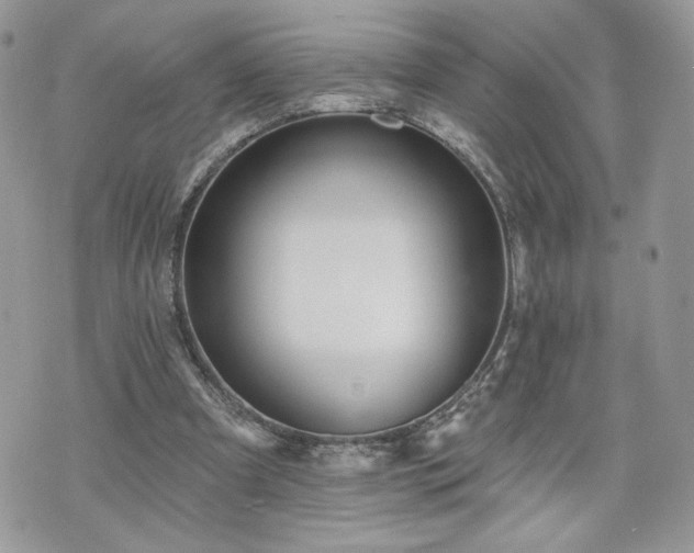 X0000070400297200606161352