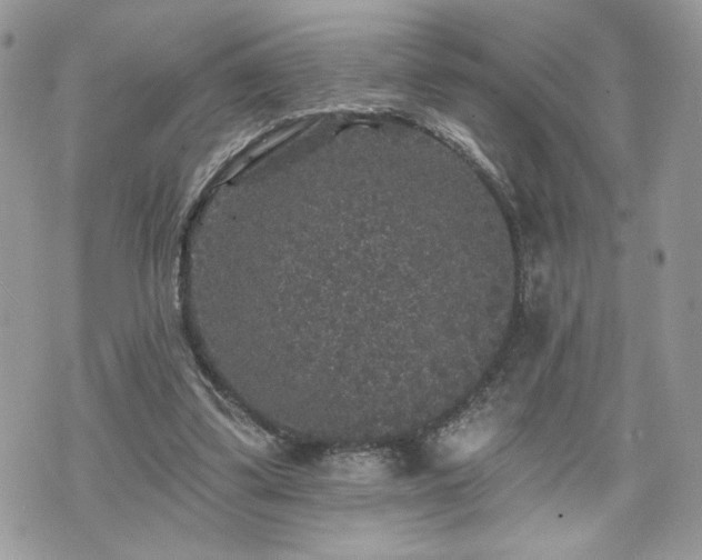 X0000070400299200606161352