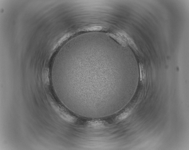 X0000070400300200606161352