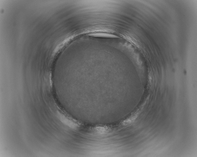 X0000070400302200606161352