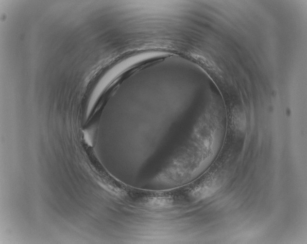 X0000070400303200606161352