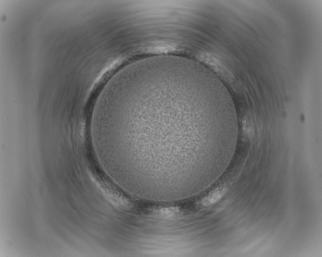 X0000070400304200606161352