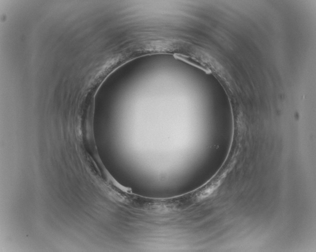 X0000070400305200606161352