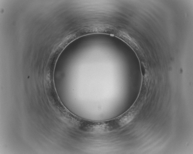 X0000070400306200606161352