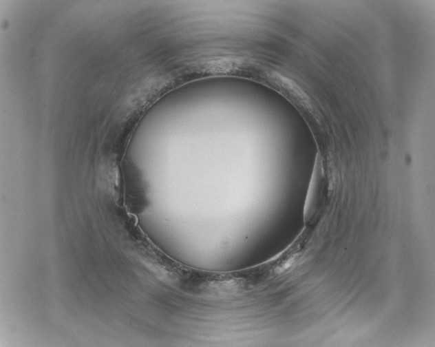 X0000070400307200606161352