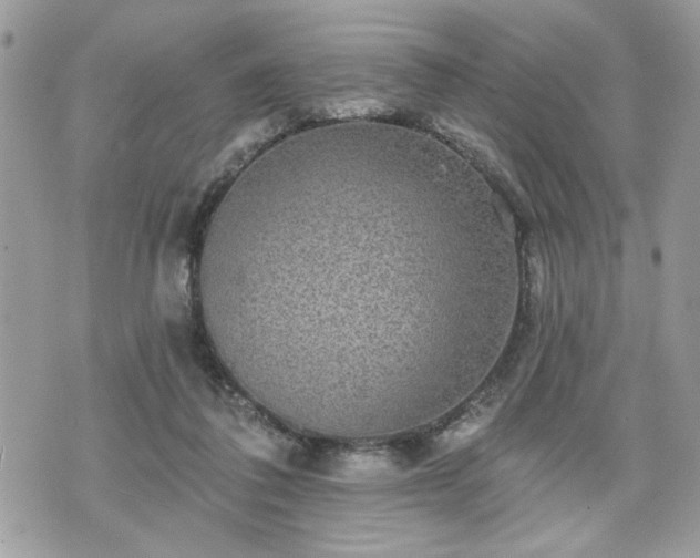 X0000070400308200606161352